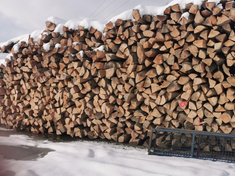 leżące drewno zimą